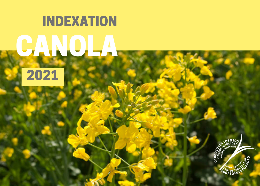 Études de coûts de production : INDEXATION 2021 - CANOLA